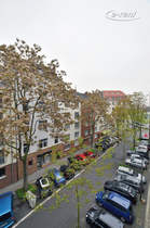 Modern möbliertes und zentral gelegenes Apartment in Köln-Neustadt-Nord