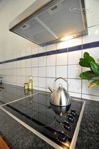 Spacious and high quality furnished apartment in Cologne-Altstadt-Nord