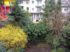 Hochwertig möblierte Wohnung mit Wintergarten in Köln-Nippes