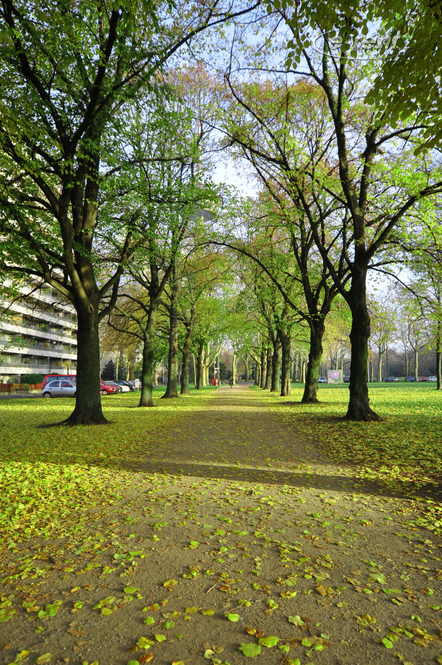 Modern möblierte Wohnung nah Stadtgarten in Köln Neustadt-Nord
