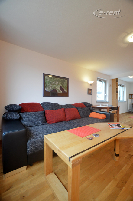 Spacious apartment with a panorama view over the Rhine on the Cologne cathedral and the zoo