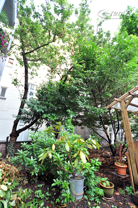 Small 1-room house in a green courtyard in Cologne-Neustadt-North