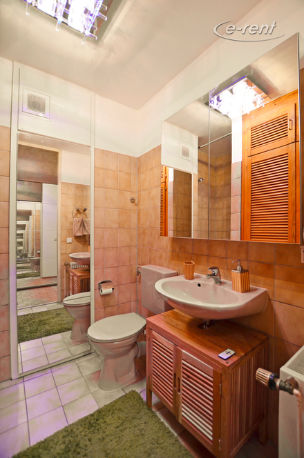 1 Zimmer Apartment mit Terrasse im Belgischen Viertel