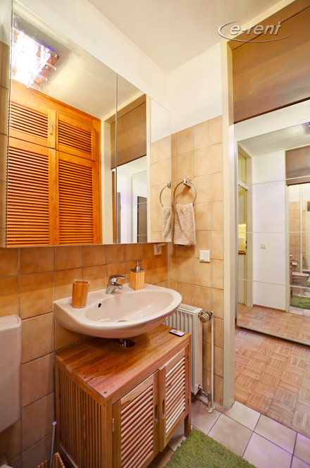 1 Zimmer Apartment mit Terrasse im Belgischen Viertel