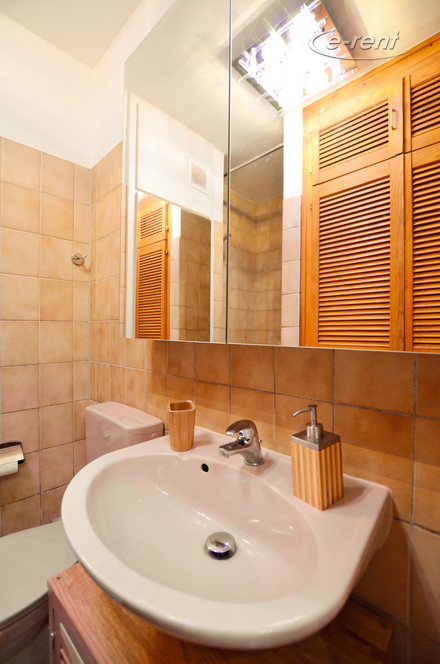 1 Zimmer Apartment mit Terrasse im Belgischen Viertel