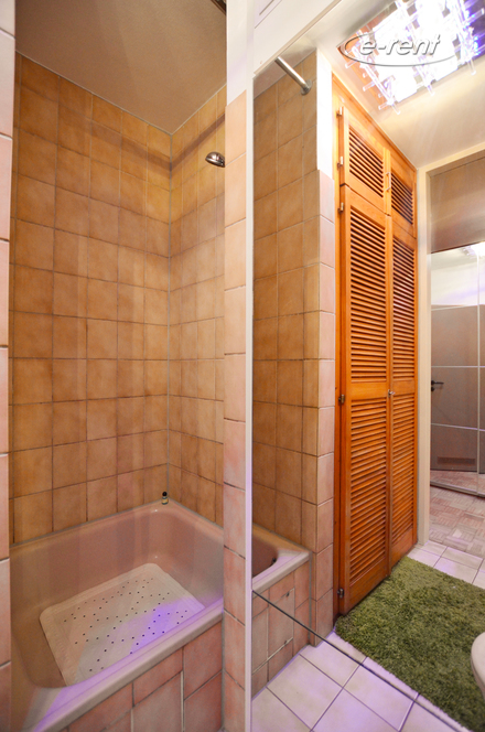 1 Zimmer Apartment mit Terrasse im Belgischen Viertel