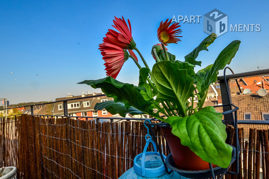 Loft-like furnished maisonette with panoramic view in Cologne-Neustadt-Nord