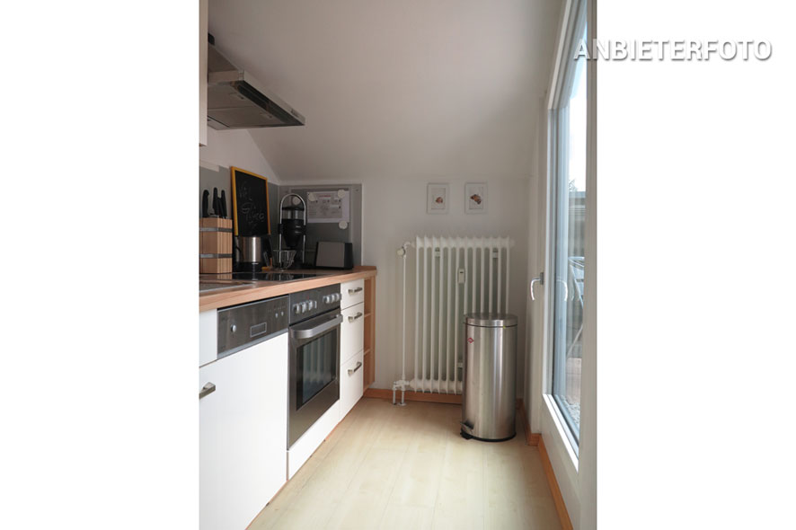Modern furnished apartment with small roof terrace in Cologne-Bayenthal