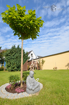 Modern möblierte und geräumige Wohnung mit eigenem Garten in Leverkusen