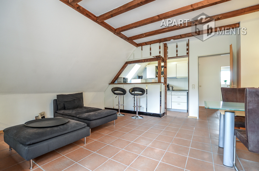 Furnished and spacious apartment in quiet location of Hürth