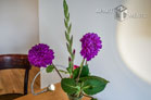 Modernly furnished apartment with balcony in Cologne-Humboldt-Gremberg