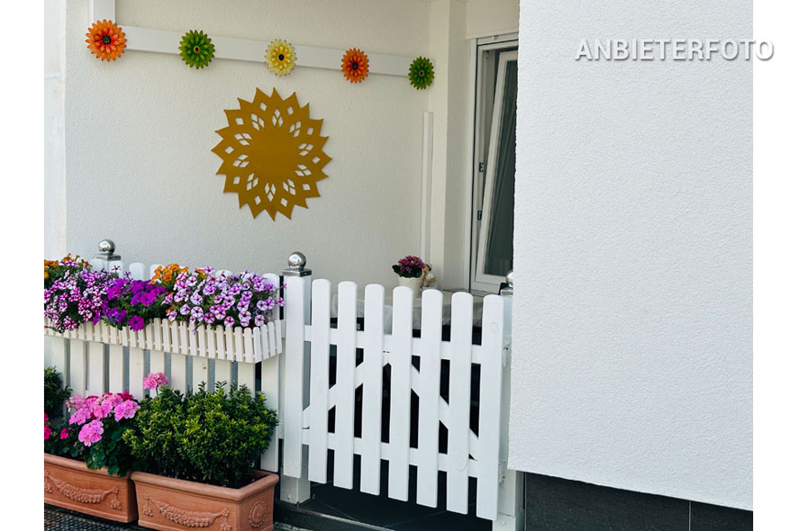 Modern and high quality furnished flat with sun terrace in Cologne-Niehl