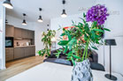 Modern möbliertes 2-Zimmer-Apartment in Köln-Sülz - Erstbezug