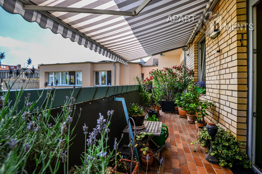 Möblierte Großraumwohnung mit Blick in den Stadtgarten in Köln-Neustadt-Süd