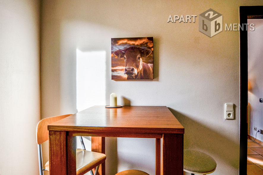 Furnished apartment on 2 levels in Cologne-Neustadt-South