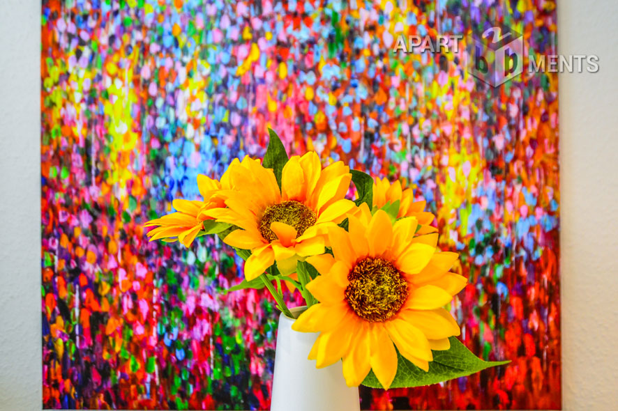 Voll ausgestattetes Single-Apartment im Cäcilien-Viertel in Köln-Altstadt-Süd