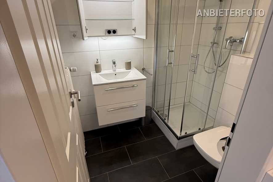 Furnished apartment with a balcony near Rheinpark in Wesseling