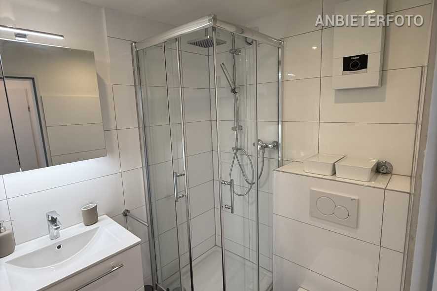 Furnished apartment with a balcony near Rheinpark in Wesseling