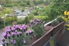 Furnished 2.5-bedroom apartment in Cologne-Bilderstöckchen with 2 balconies