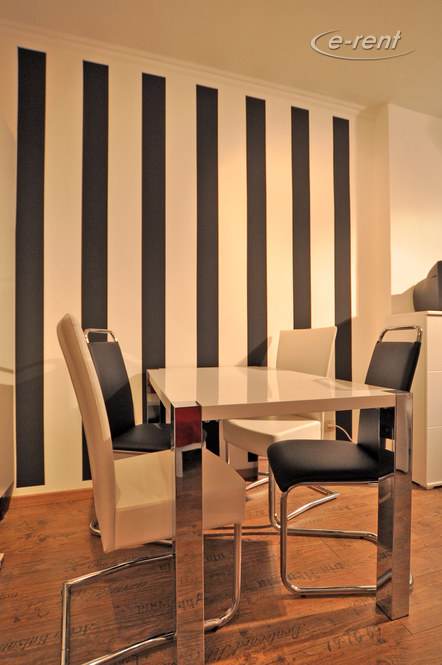 Modern möbliertes Apartment in Düsseldorf-Flingern-Nord