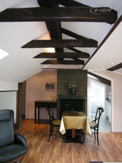 Modernly furnished and centrally located apartment in Düsseldorf-Stadtmitte