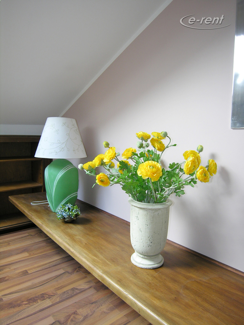 Modernly furnished and centrally located apartment in Düsseldorf-Stadtmitte