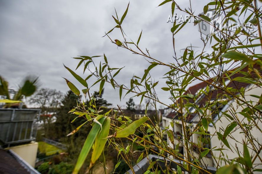 Möblierte und lichtdurchflutete Maisonettewohnung im Süden von Hilden