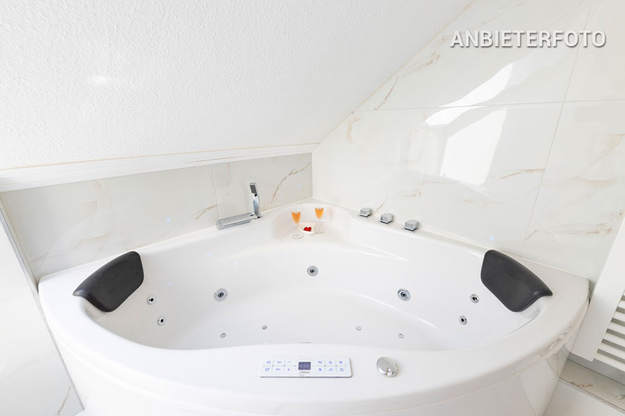 Geräumige Luxuswohnung möbliert und mit Dachterrasse und Whirlpool in Düsseldorf-Düsseltal