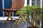 Furnished flat with terrace in Düsseldorf-Unterbilk