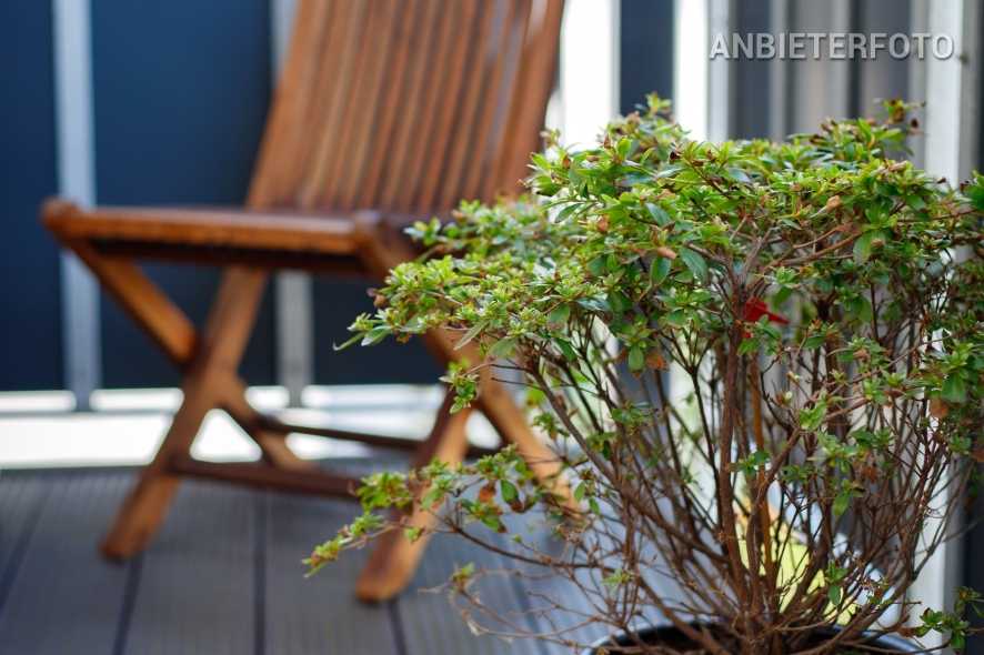 Furnished flat with terrace in Düsseldorf-Unterbilk