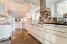 Furnished luxury penthouse with a view of the Rhine in Düsseldorf-Golzheim
