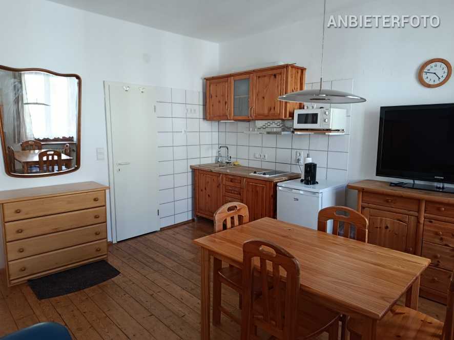 Neat furnished single apartment in Bonn near the city centre old town location