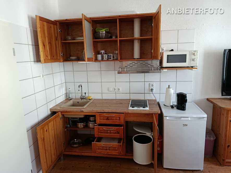 Neat furnished single apartment in Bonn near the city centre old town location