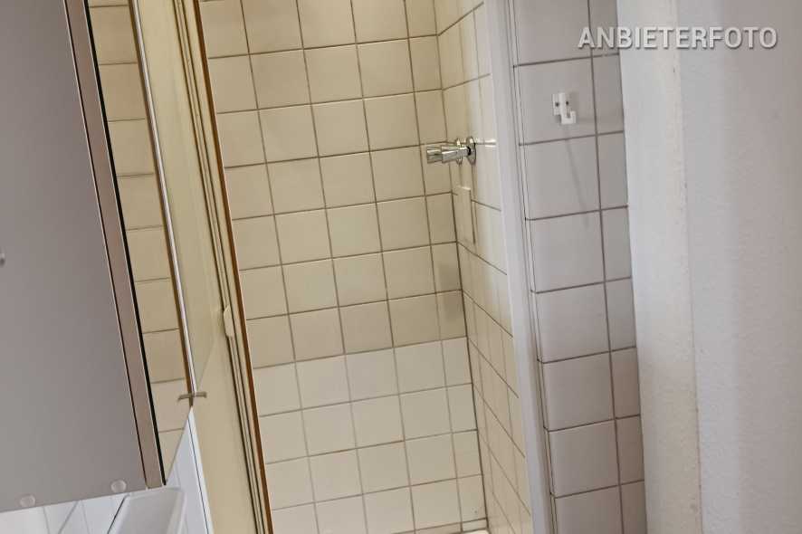 Neat furnished single apartment in Bonn near the city centre old town location