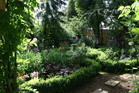 1-Zimmer-Wohnung in ruhiger Lage  - 1. Preis im Rundschau-Wettbewerb für den schönsten Garten der Region im Sommer 2007