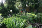1-Zimmer-Wohnung in ruhiger Lage  - 1. Preis im Rundschau-Wettbewerb für den schönsten Garten der Region im Sommer 2007