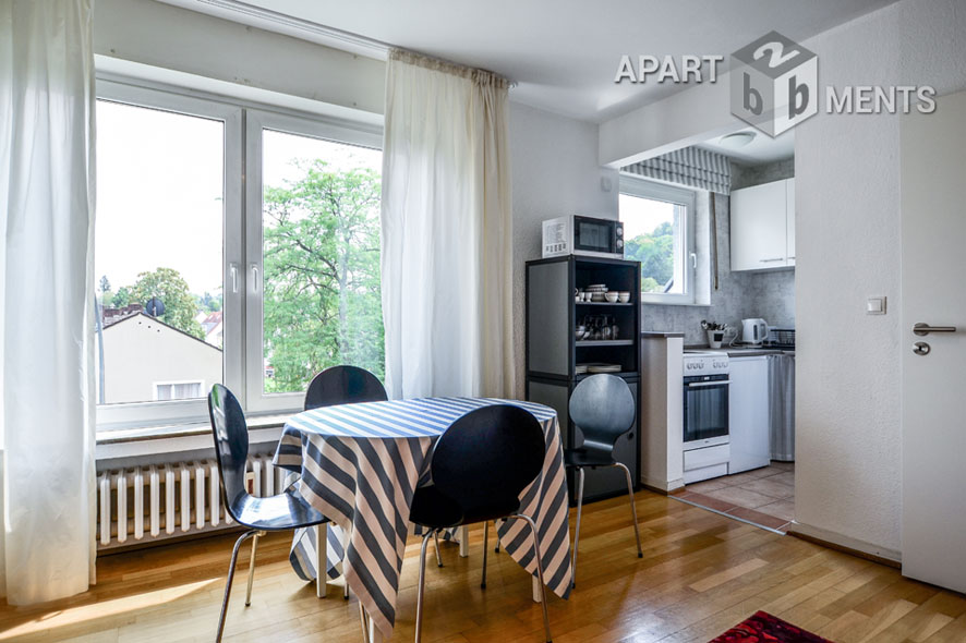 Centrally located spacious studio apartment in Bonn Bad Godesberg