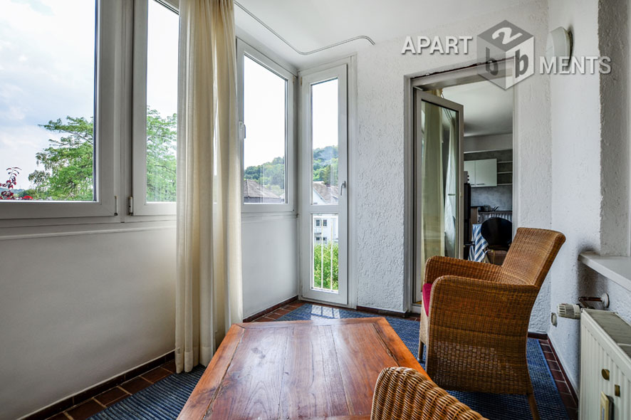 Centrally located spacious studio apartment in Bonn Bad Godesberg