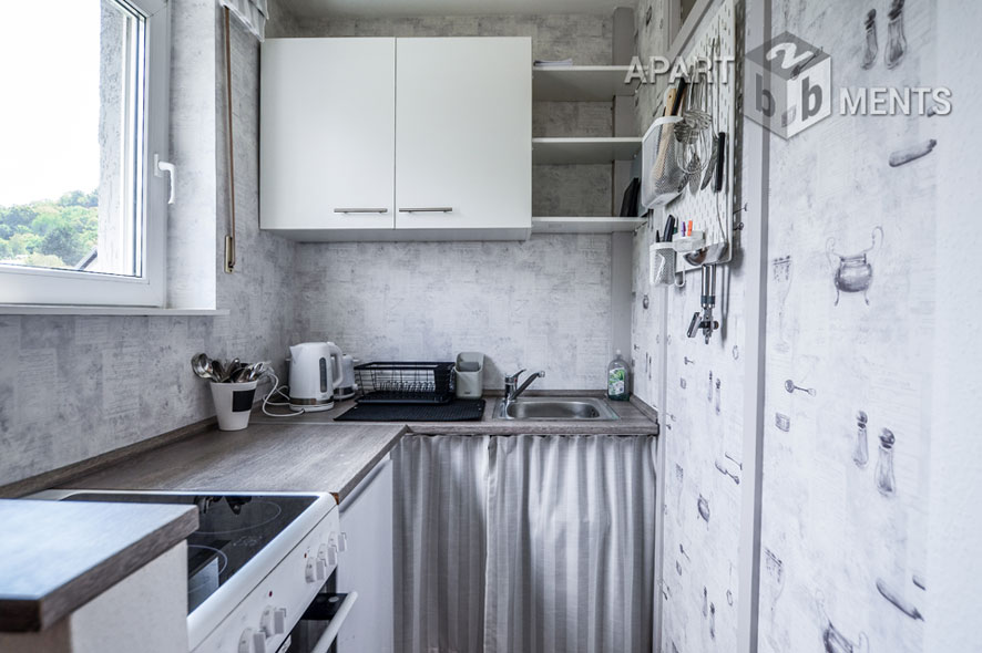 Centrally located spacious studio apartment in Bonn Bad Godesberg