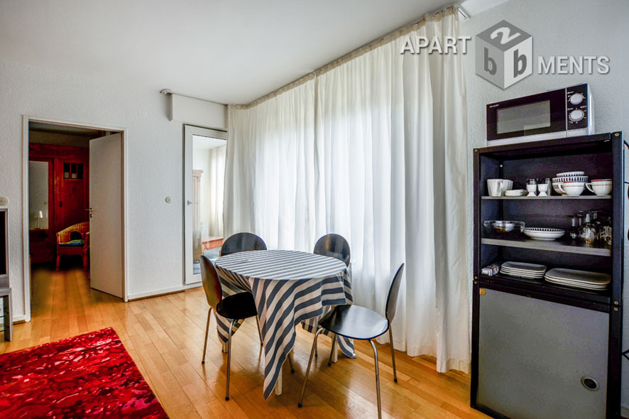 Centrally located spacious studio apartment in Bonn Bad Godesberg