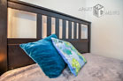 Centrally located spacious studio apartment in Bonn Bad Godesberg