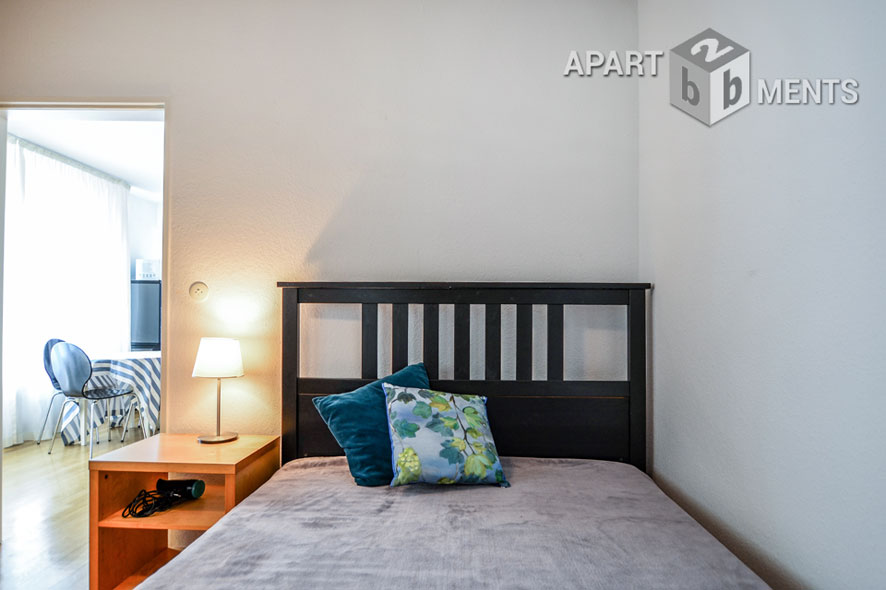 Centrally located spacious studio apartment in Bonn Bad Godesberg