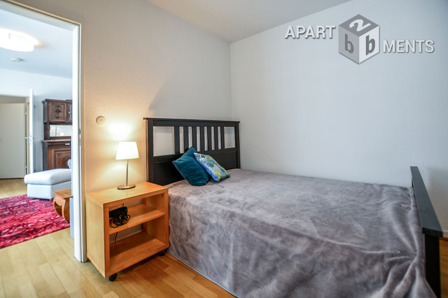 Centrally located spacious studio apartment in Bonn Bad Godesberg