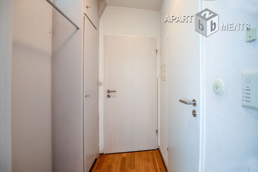Centrally located spacious studio apartment in Bonn Bad Godesberg
