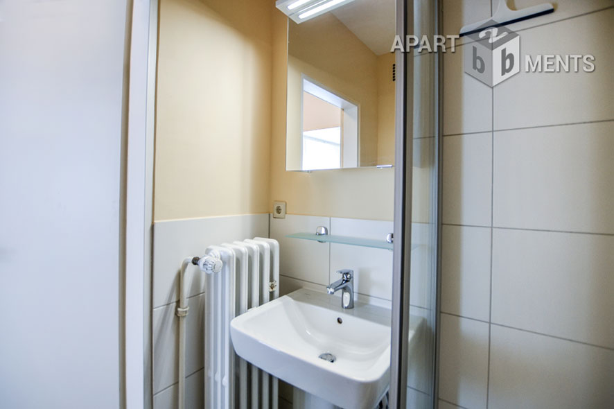 Centrally located spacious studio apartment in Bonn Bad Godesberg