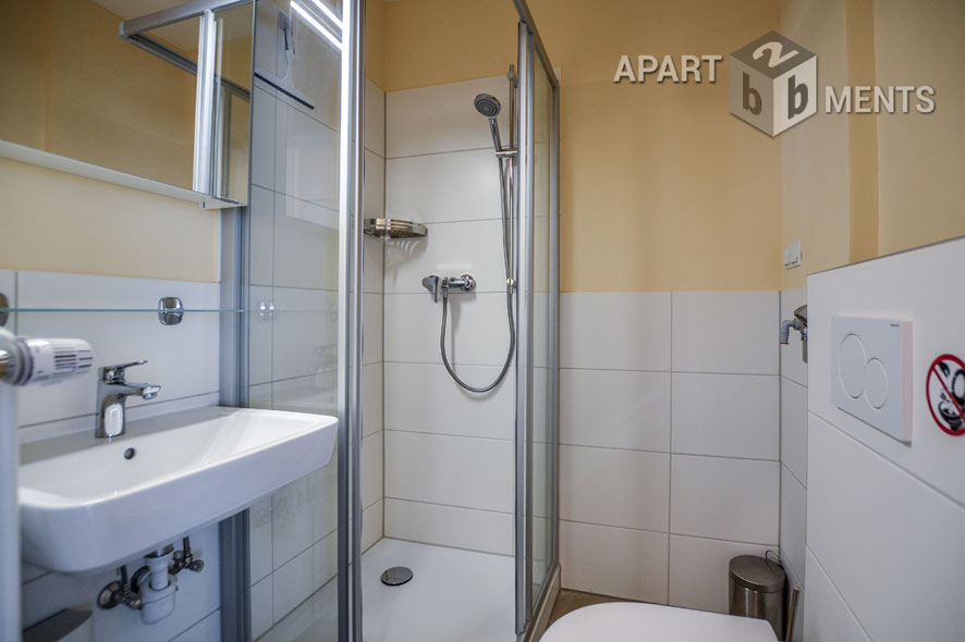 Centrally located spacious studio apartment in Bonn Bad Godesberg