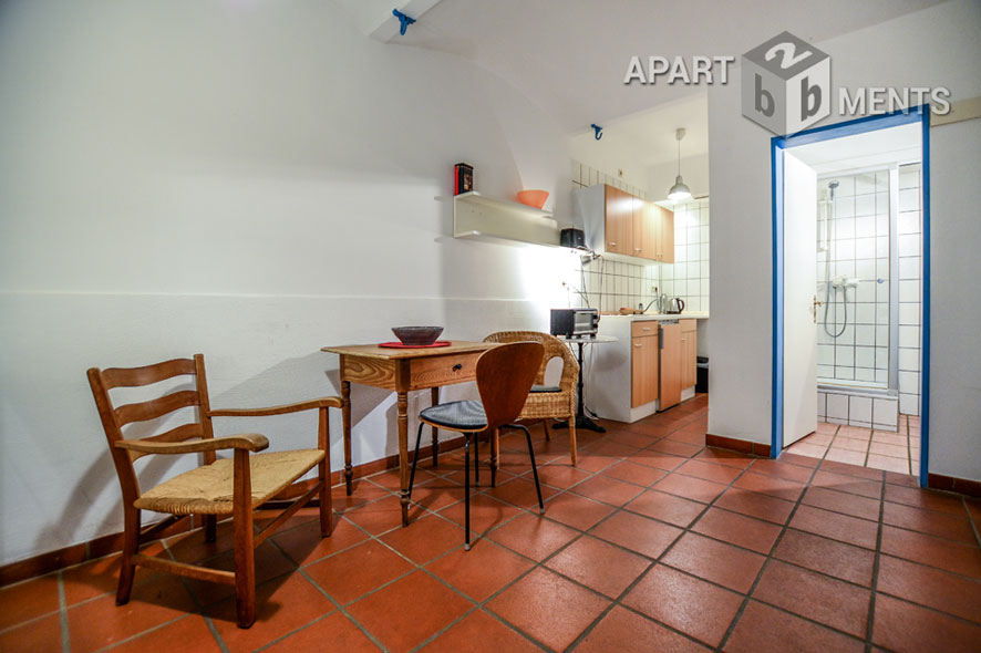 Möbliertes Apartment mit Terrasse in schöner Südstadtlage in Bonn