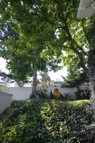 Möbliertes Mini-Apartment in traumhafter Lage am Rhein in Bonn-Castell