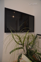 Möbliertes Mini-Apartment in traumhafter Lage am Rhein in Bonn-Castell