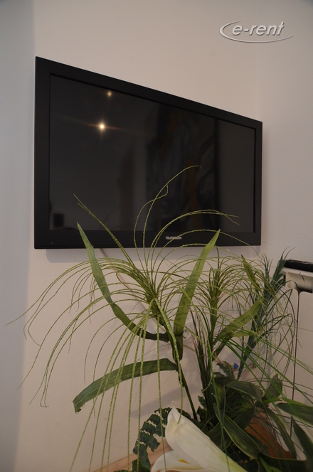 Möbliertes Mini-Apartment in traumhafter Lage am Rhein in Bonn-Castell